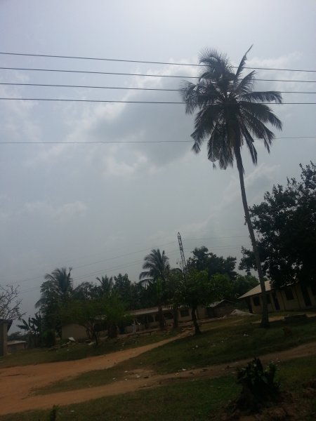 ../previews/069-AFRIKA-1-2013 451.jpg.medium.jpeg